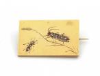 Art Nouveau ant and grasshopper 18kt yellow gold brooch