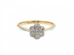 Antique diamond floral cluster in platinum and 18kt yellow gold