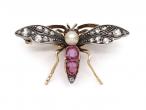 Victorian pearl, diamond and ruby mosquito bug brooch in silver and gold