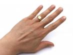 1925 shield signet ring in 18kt yellow gold