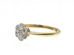 Edwardian diamond daisy cluster in platinum and 18kt gold