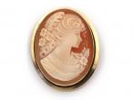 14kt yellow gold shell cameo brooch with the profile of a lady