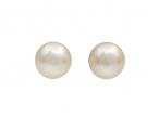 Cultured South Sea pearl stud earrings in 18kt yellow gold