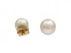 Cultured South Sea pearl stud earrings in 18kt yellow gold