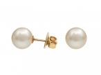 Cultured South Sea pearl stud earrings in 18kt yellow gold
