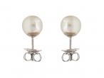 Cultured South Sea pearl stud earrings in 18kt white gold