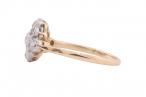 Edwardian Daisy Cluster Ring, with later shank