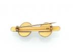 Victorian Double Brown Beetle Bar Brooch in Yellow Gold