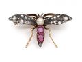 Victorian pearl, diamond and ruby mosquito bug brooch in silver and gold